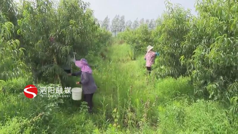 [社区]留得住乡愁的好房子 泗阳：建看得见风景