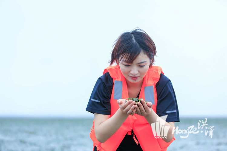 「菱角」菱角香 游人采摘忙 洪泽：秋风起