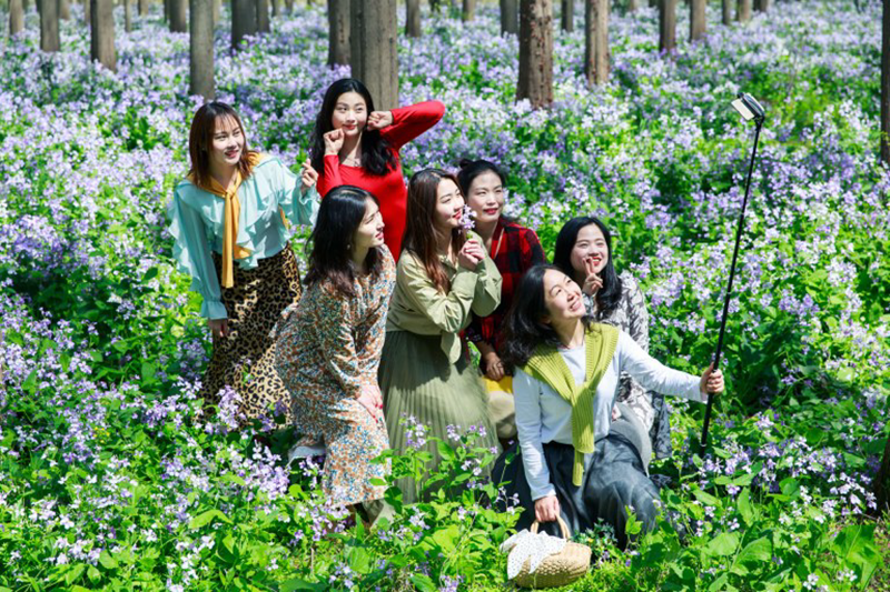 图片5.png