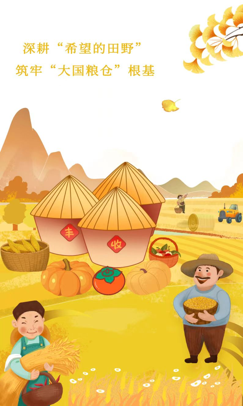 眼下,全国秋粮收获进入高峰期,在河北沧州市盐山县,玉米联合收割机正