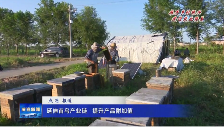 【推进乡村振兴建设农业强县】延伸首乌产业链