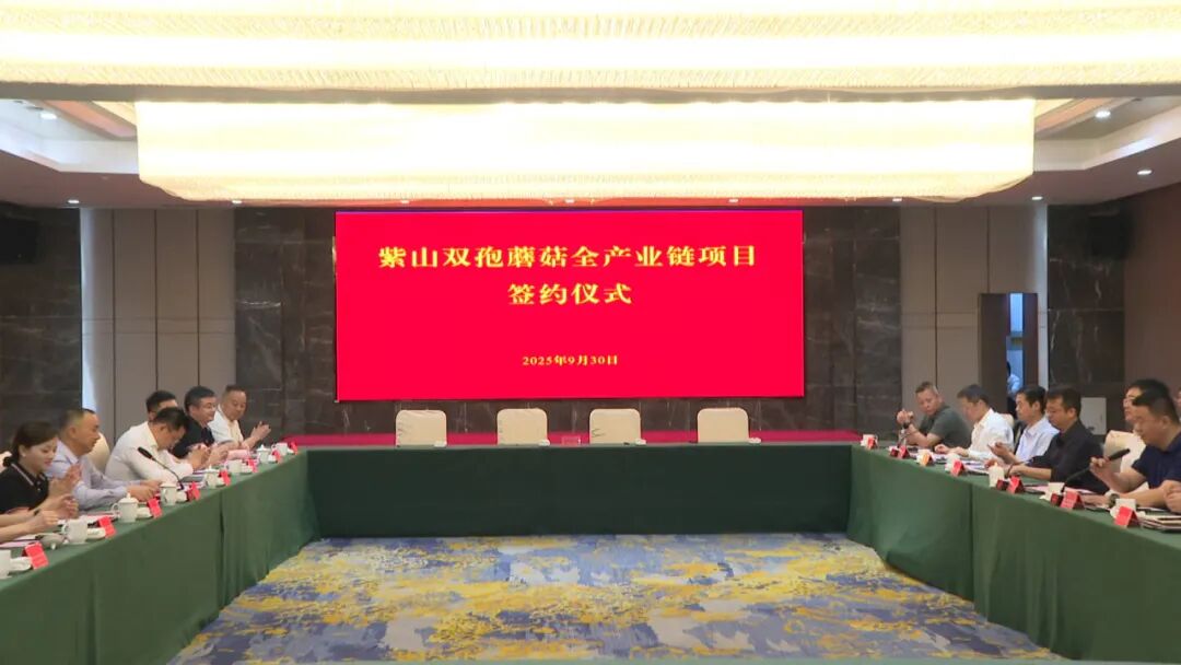 总投资10亿元紫山双孢菇全产业链项目落户宝应