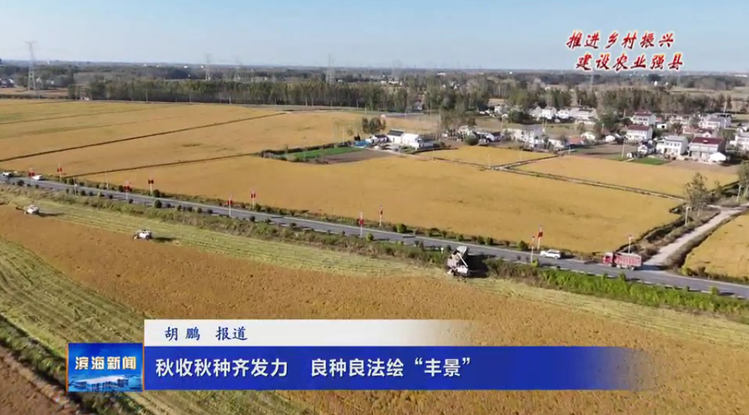 【推进乡村振兴建设农业强县】秋收秋种齐发力