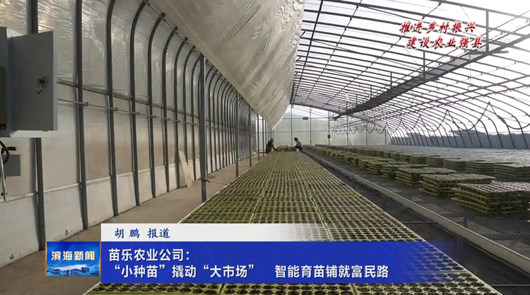 【推进乡村振兴建设农业强县】苗乐农业公司：“