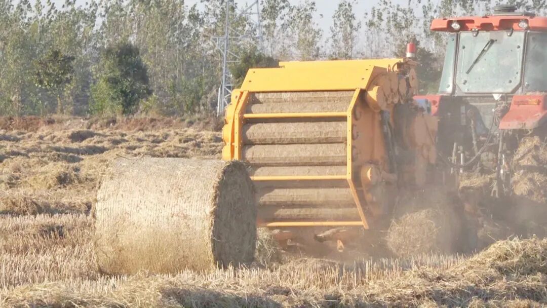 宝应县柳堡镇：秸秆离田“变废为宝”实现环境与经济双赢