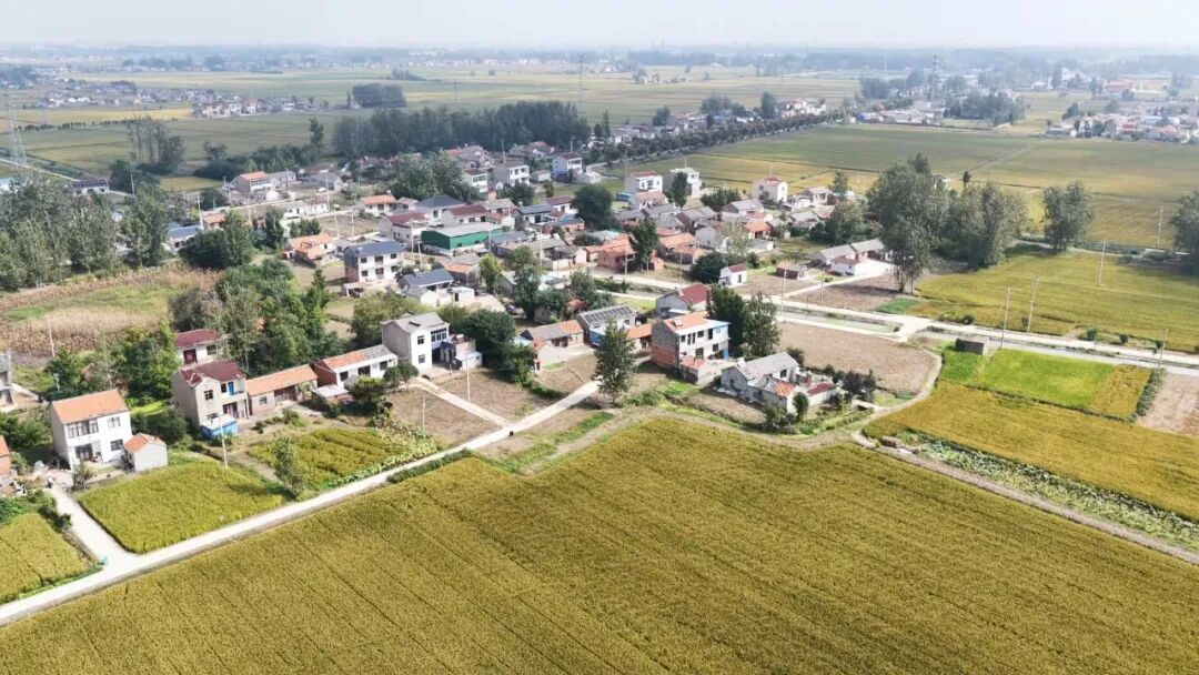 潼口村：昔日“堵心”今“舒心” 村容村貌大变样