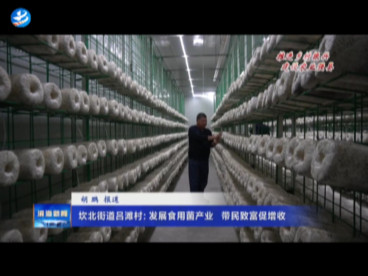 市文聯(lián)來濱開展黨建活動(dòng)