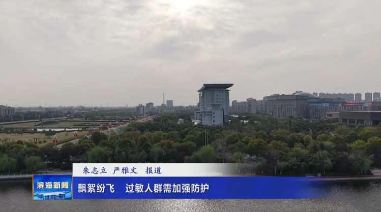 飘絮纷飞 易过敏人群需加强防护