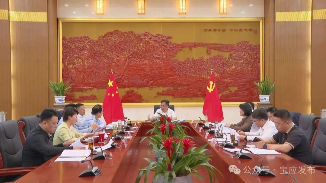 宝应县委党的建设工作领导小组会议召开