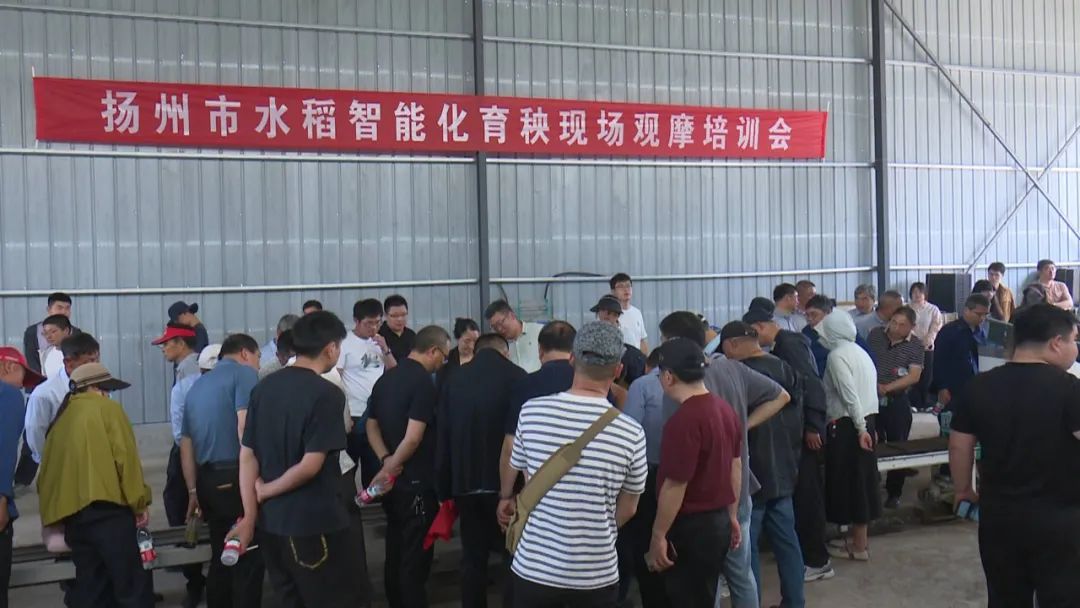 扬州市小麦机收减损技术观摩培训活动在宝举办