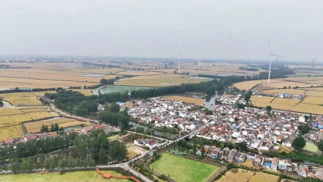 双琚村：升级改造得民心 和美水乡入画来