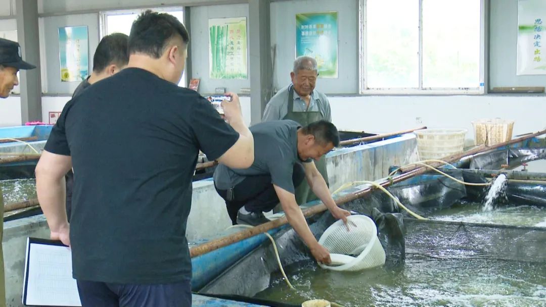 8.7万尾鱼苗“安家”射阳湖！宝应开展增殖放流守护水域生态