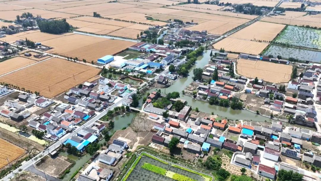 宜居宜业和美看东荡 | 鹤湾村：巧借“东风”办实事 拼成宜居宜业“实景图”