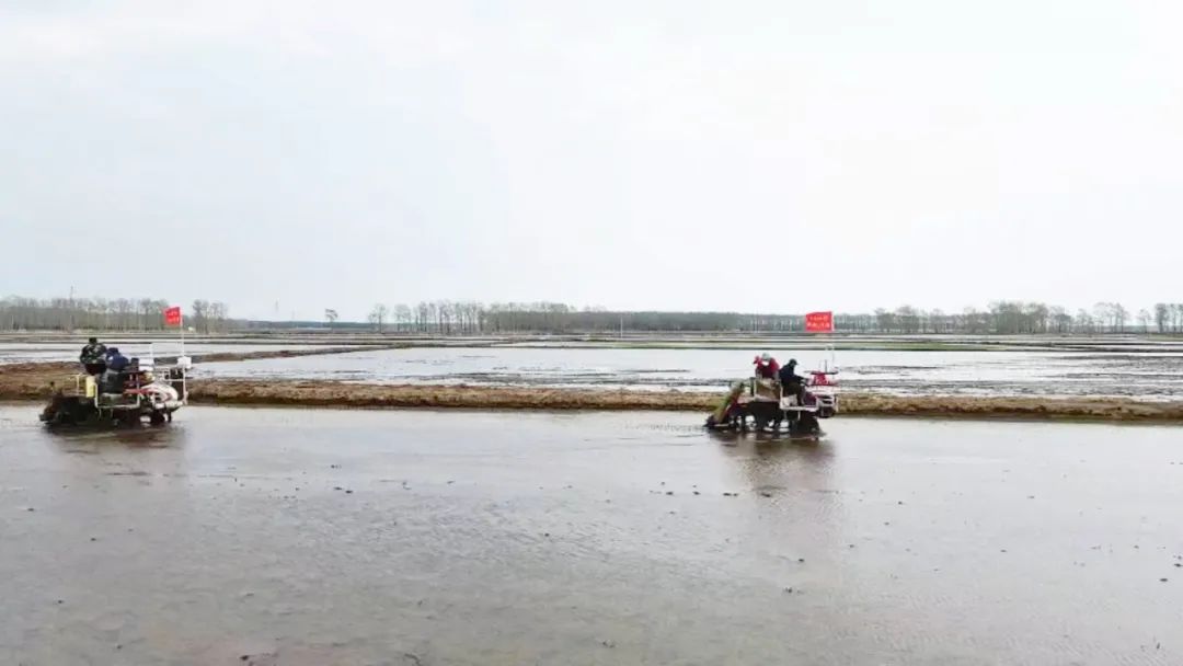 “共产党员·扬州麦客”：一年耕耘百万亩 “及时雨”浇灌20余省