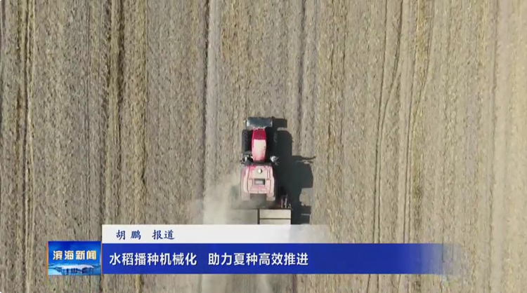 【關(guān)注三夏】水稻播種機(jī)械化?助力夏種高效推