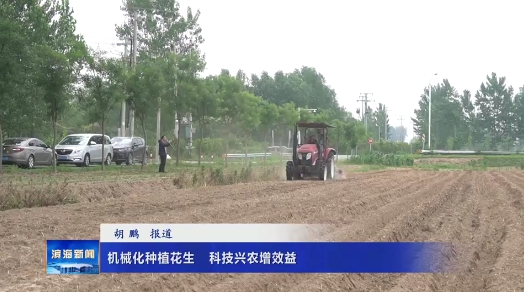 【關(guān)注三夏】機(jī)械化種植花生?科技興農(nóng)增效益