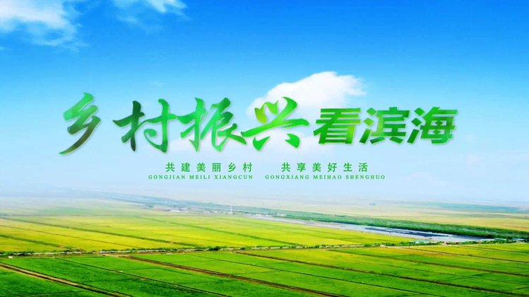 鄉(xiāng)村振興看濱海20250701