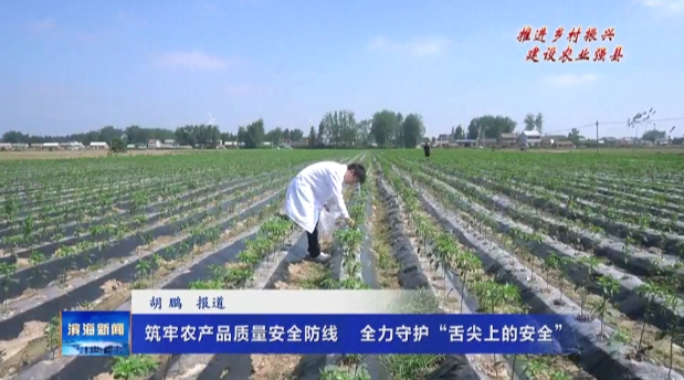 【推进乡村振兴建设农业强县】筑牢农产品质量