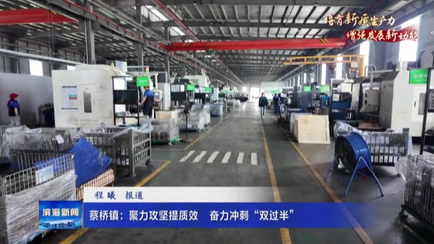 【培育新质生产力增强发展新动能】蔡桥镇：聚力