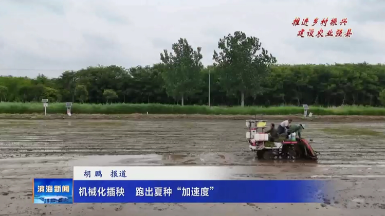 【推進鄉(xiāng)村振興建設(shè)農(nóng)業(yè)強縣】機械化插秧跑出