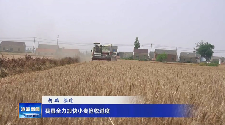 我县全力加快小麦抢收进度
