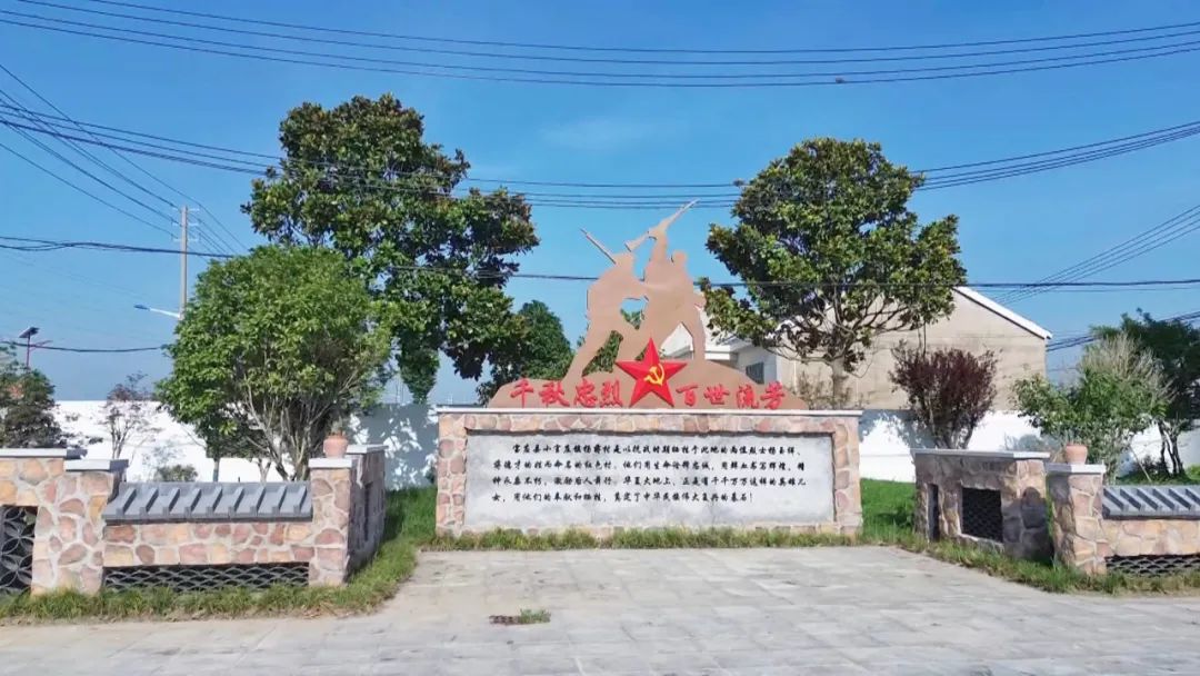鸟瞰和美乡村新画卷 | 杨蒋村：红映杨蒋 绿绘田园