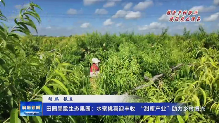 【推进乡村振兴 建设农业强县】田园墨歌生态