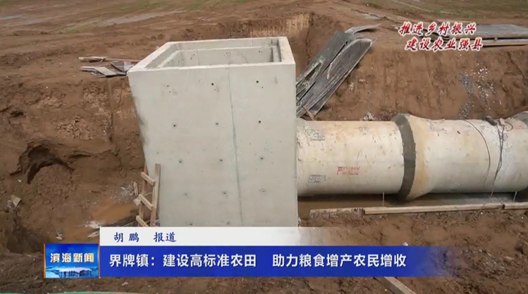 【推進鄉(xiāng)村振興建設農(nóng)業(yè)強縣】界牌鎮(zhèn)：建設高標