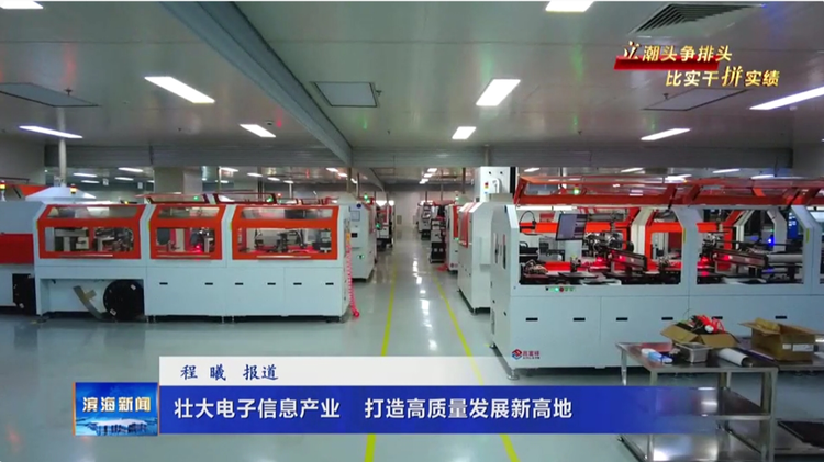 【立潮頭爭排頭?比實干拼實績】壯大電子信息
