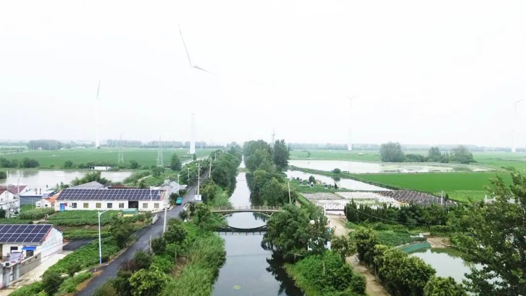 团庄村：“渔光互补”年发电240万度 红色文旅引客来