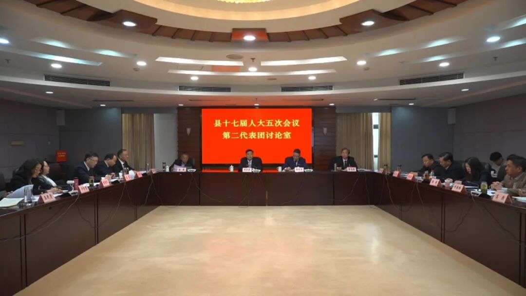 人大代表分组审议县人大常委会和“两院”工作报告