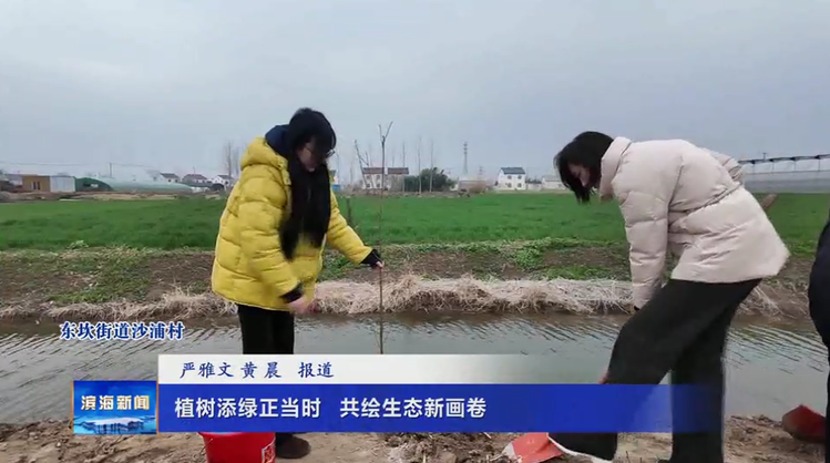 植树添绿正当时 共绘生态新画卷