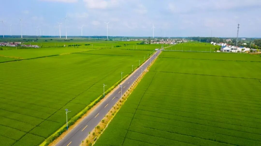 宝应县农业农村部门提醒：春耕关键期，这三件事要抓紧！