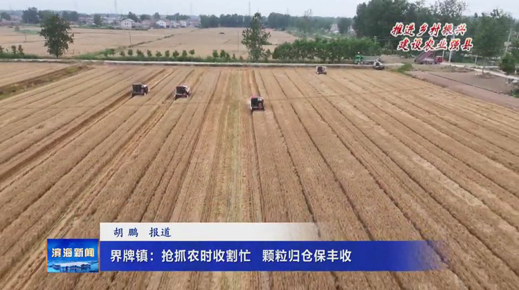 【推进乡村振兴建设农业强县】界牌镇：抢抓农时